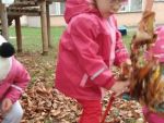 IMG_20181026_100834.jpg