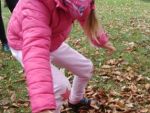 IMG_20181026_102106.jpg