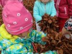 IMG_20181026_100935.jpg