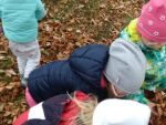 IMG_20181026_102209.jpg