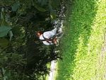 20200916_105258.jpg