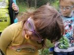 IMG_20210601_104755.jpg